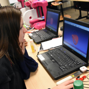 South Carolina Youth ChalleNGe Academy graduate Emilee Brays designs a ring during immersion training week in YouthQuest's 3D ThinkLink Creativity Lab January 5, 2016